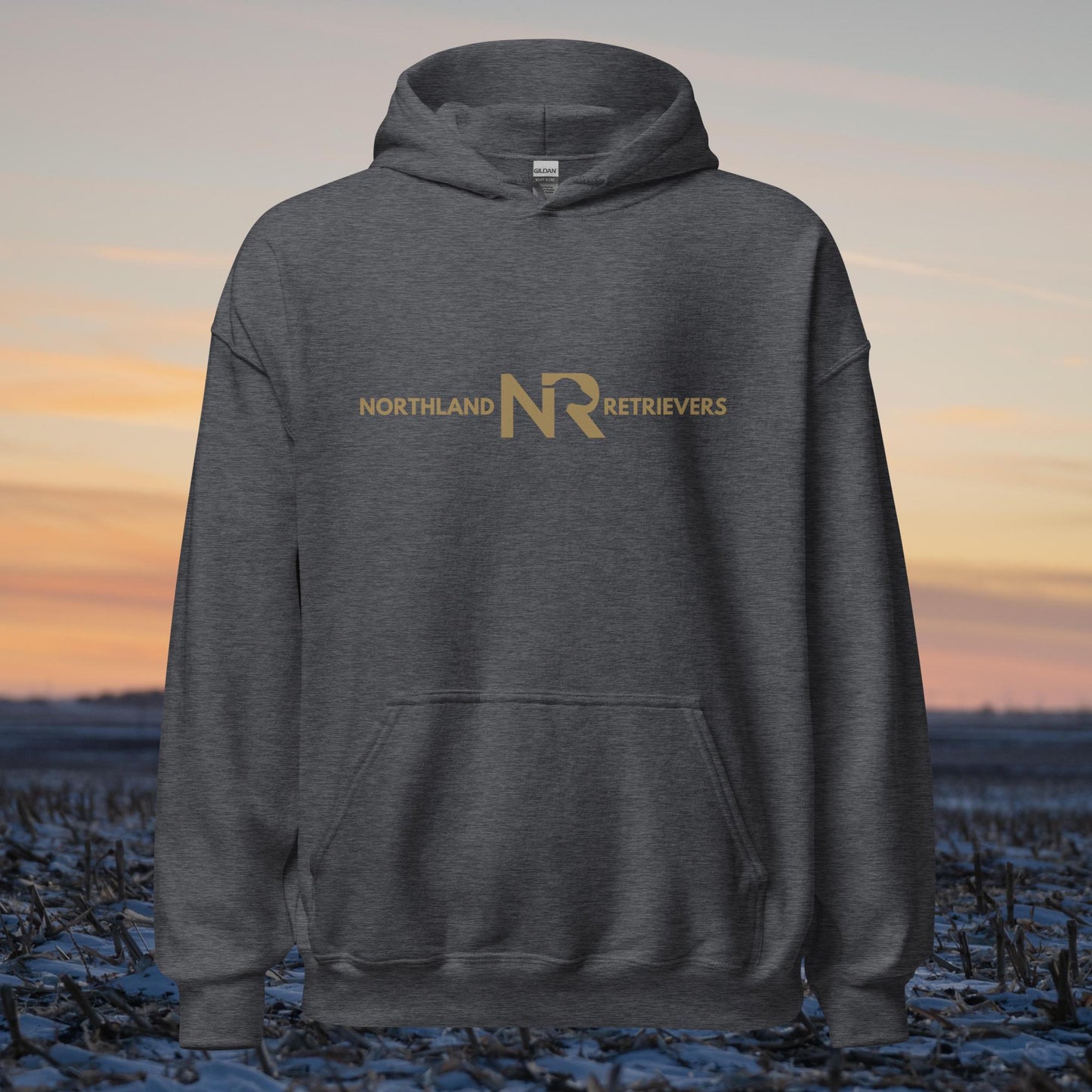 NR Hoodie